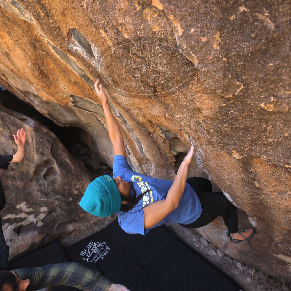 

Filename: SRM_20250316_1022370.jpg
Aperture: f/4.0
Shutter Speed: 1/500
Body: Canon EOS R6
Lens: Canon EF 16-35mm f/2.8 L