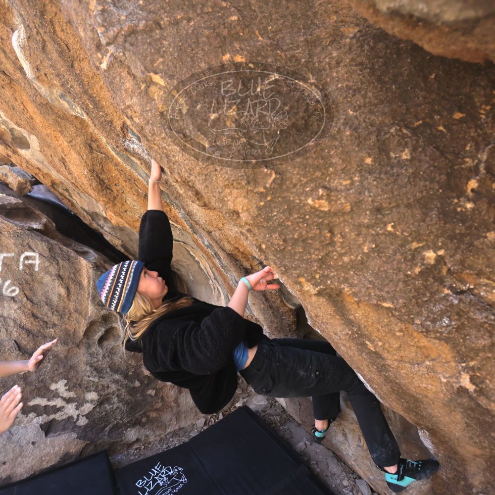 

Filename: SRM_20250316_1024070.jpg
Aperture: f/4.0
Shutter Speed: 1/500
Body: Canon EOS R6
Lens: Canon EF 16-35mm f/2.8 L