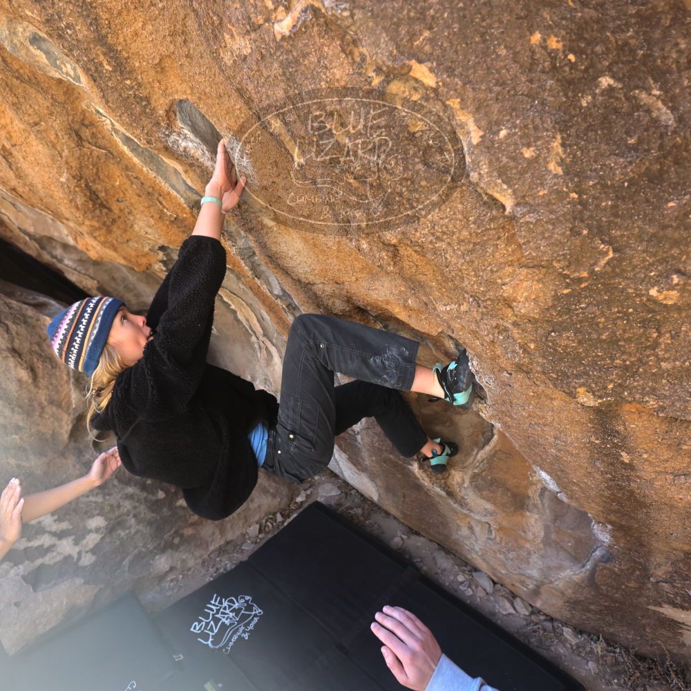 

Filename: SRM_20250316_1024170.jpg
Aperture: f/4.0
Shutter Speed: 1/500
Body: Canon EOS R6
Lens: Canon EF 16-35mm f/2.8 L