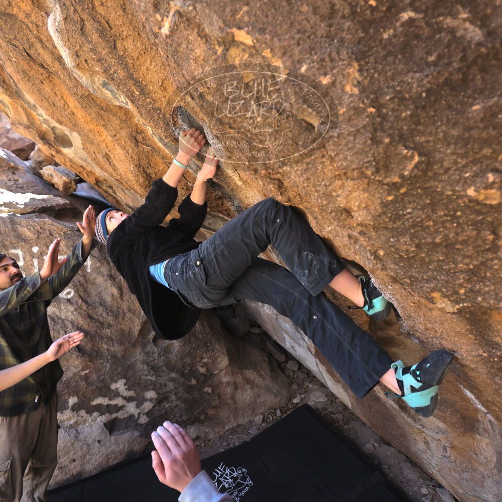 

Filename: SRM_20250316_1028300.jpg
Aperture: f/4.0
Shutter Speed: 1/500
Body: Canon EOS R6
Lens: Canon EF 16-35mm f/2.8 L