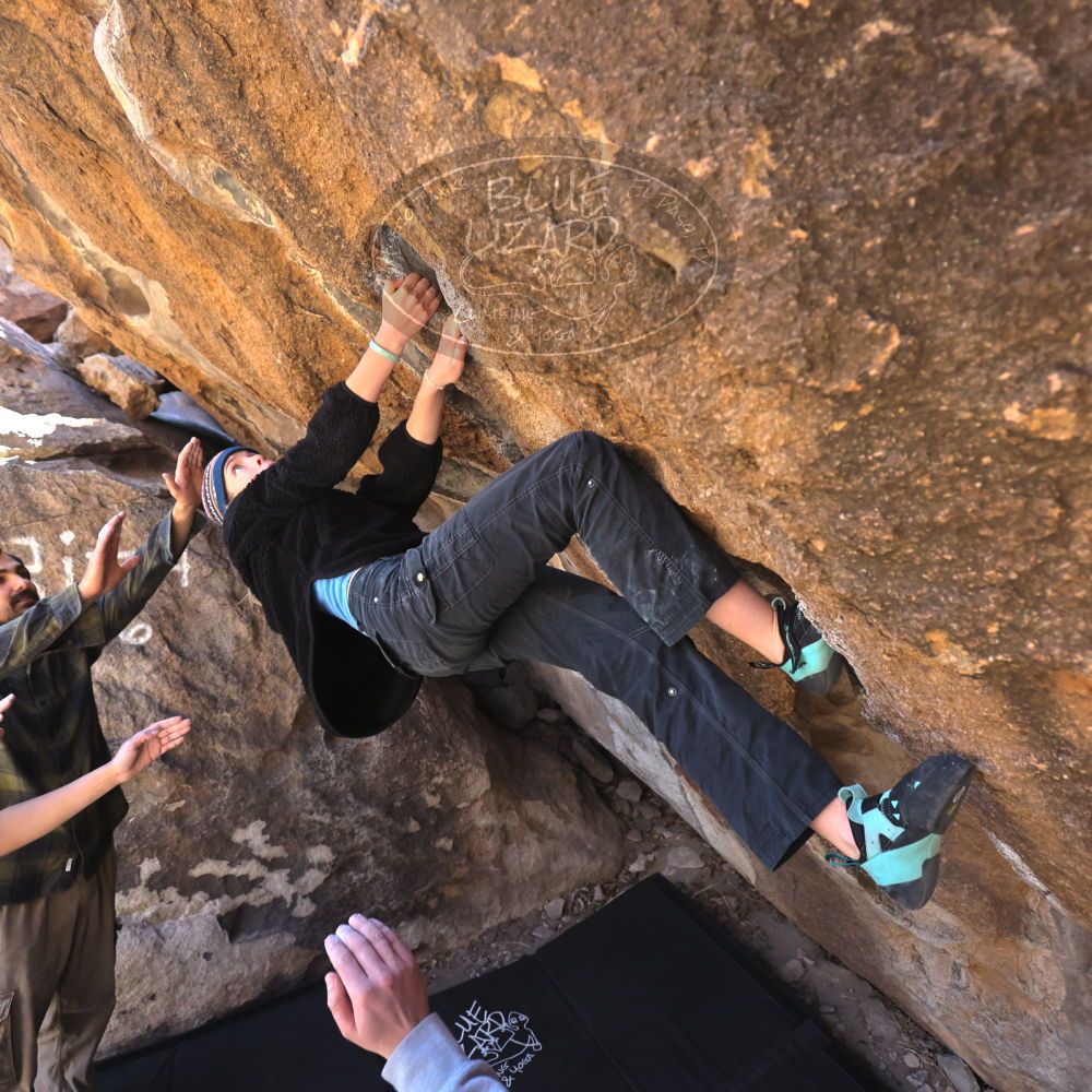 

Filename: SRM_20250316_1028301.jpg
Aperture: f/4.0
Shutter Speed: 1/500
Body: Canon EOS R6
Lens: Canon EF 16-35mm f/2.8 L