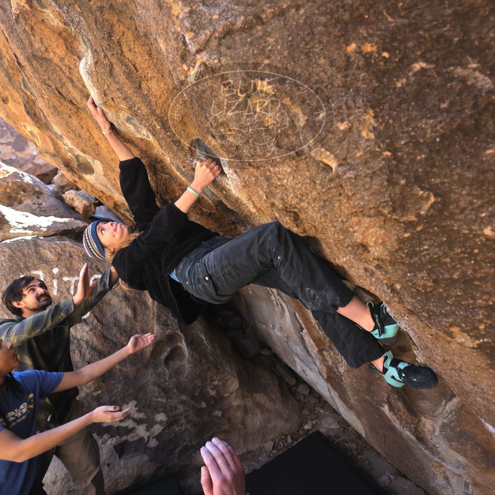 

Filename: SRM_20250316_1028320.jpg
Aperture: f/4.0
Shutter Speed: 1/500
Body: Canon EOS R6
Lens: Canon EF 16-35mm f/2.8 L