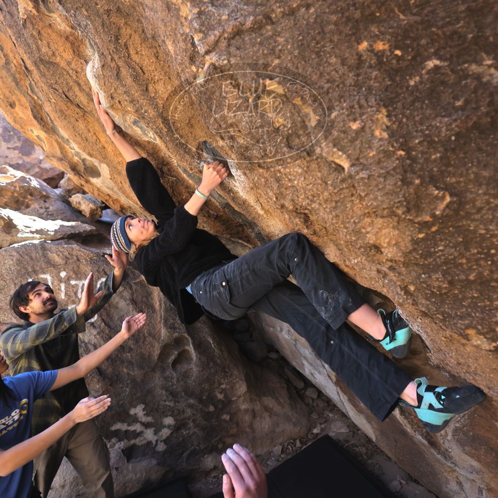 

Filename: SRM_20250316_1028330.jpg
Aperture: f/4.0
Shutter Speed: 1/500
Body: Canon EOS R6
Lens: Canon EF 16-35mm f/2.8 L