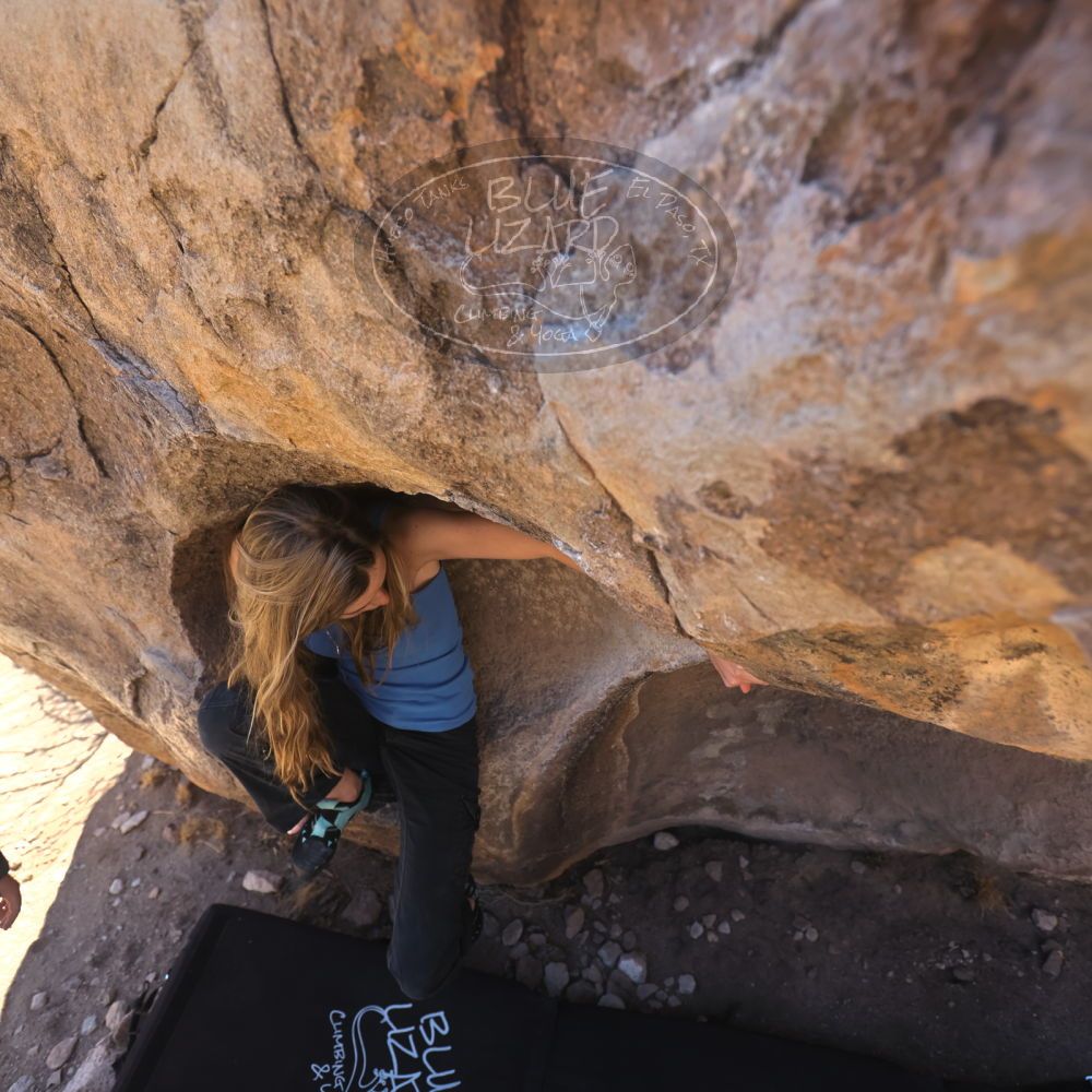 

Filename: SRM_20250316_1207230.jpg
Aperture: f/4.0
Shutter Speed: 1/500
Body: Canon EOS R6
Lens: Canon EF 16-35mm f/2.8 L