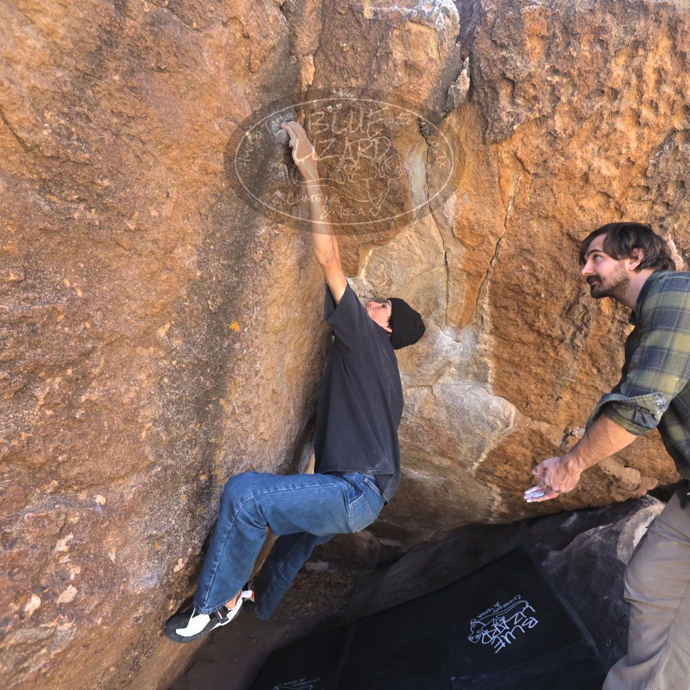 

Filename: SRM_20250316_1233200.jpg
Aperture: f/4.0
Shutter Speed: 1/500
Body: Canon EOS R6
Lens: Canon EF 16-35mm f/2.8 L