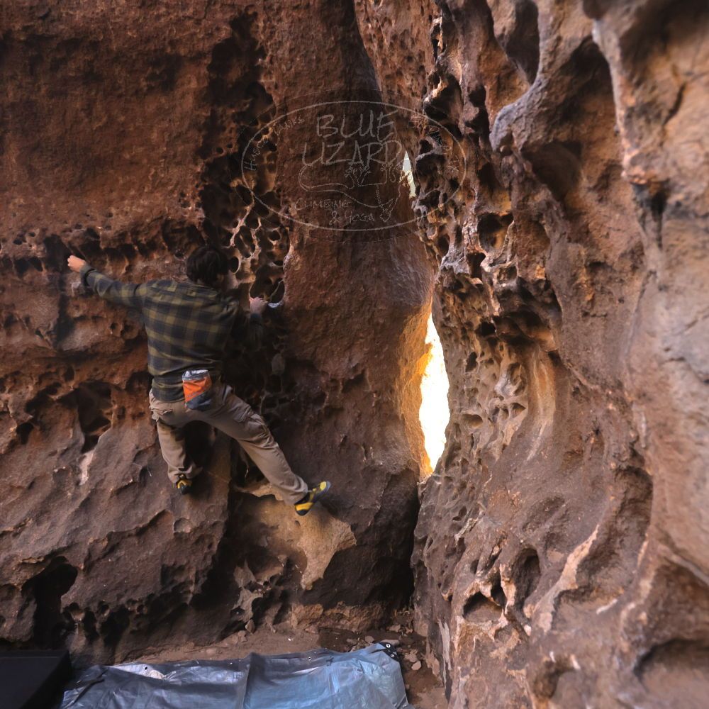 

Filename: SRM_20250316_1400530.jpg
Aperture: f/4.0
Shutter Speed: 1/200
Body: Canon EOS R6
Lens: Canon EF 16-35mm f/2.8 L