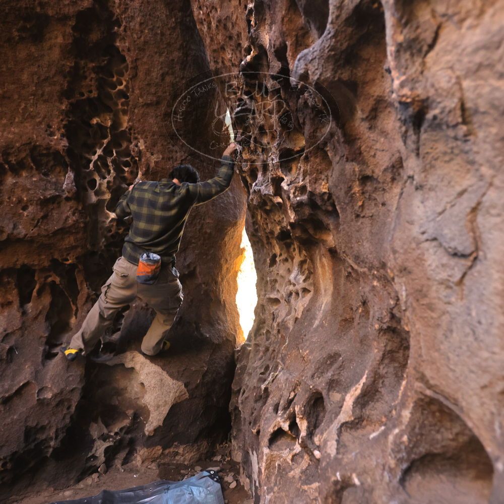 

Filename: SRM_20250316_1400580.jpg
Aperture: f/4.0
Shutter Speed: 1/200
Body: Canon EOS R6
Lens: Canon EF 16-35mm f/2.8 L