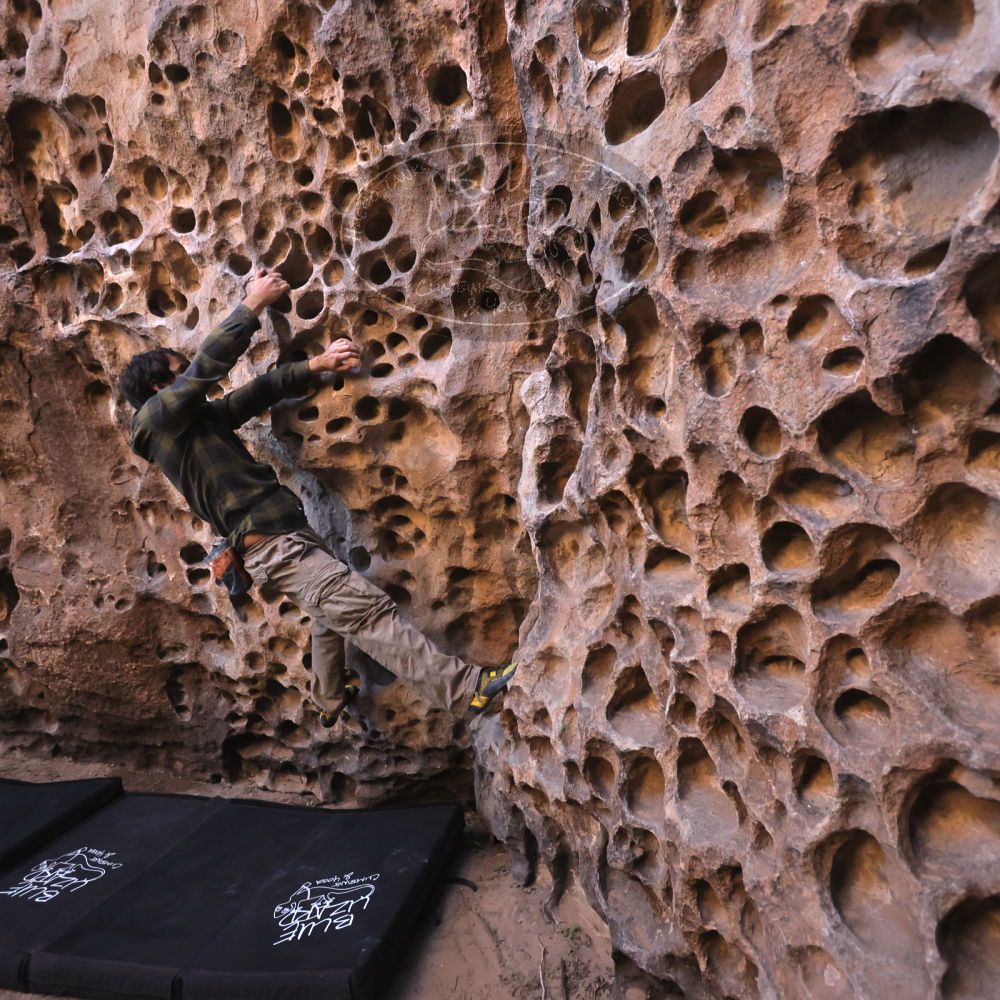 

Filename: SRM_20250316_1401470.jpg
Aperture: f/4.0
Shutter Speed: 1/200
Body: Canon EOS R6
Lens: Canon EF 16-35mm f/2.8 L