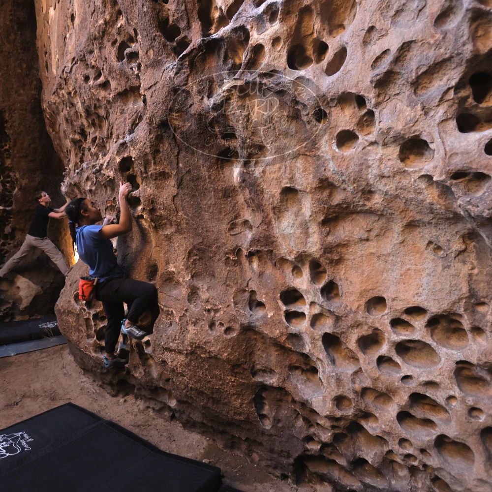 

Filename: SRM_20250316_1406390.jpg
Aperture: f/4.0
Shutter Speed: 1/125
Body: Canon EOS R6
Lens: Canon EF 16-35mm f/2.8 L