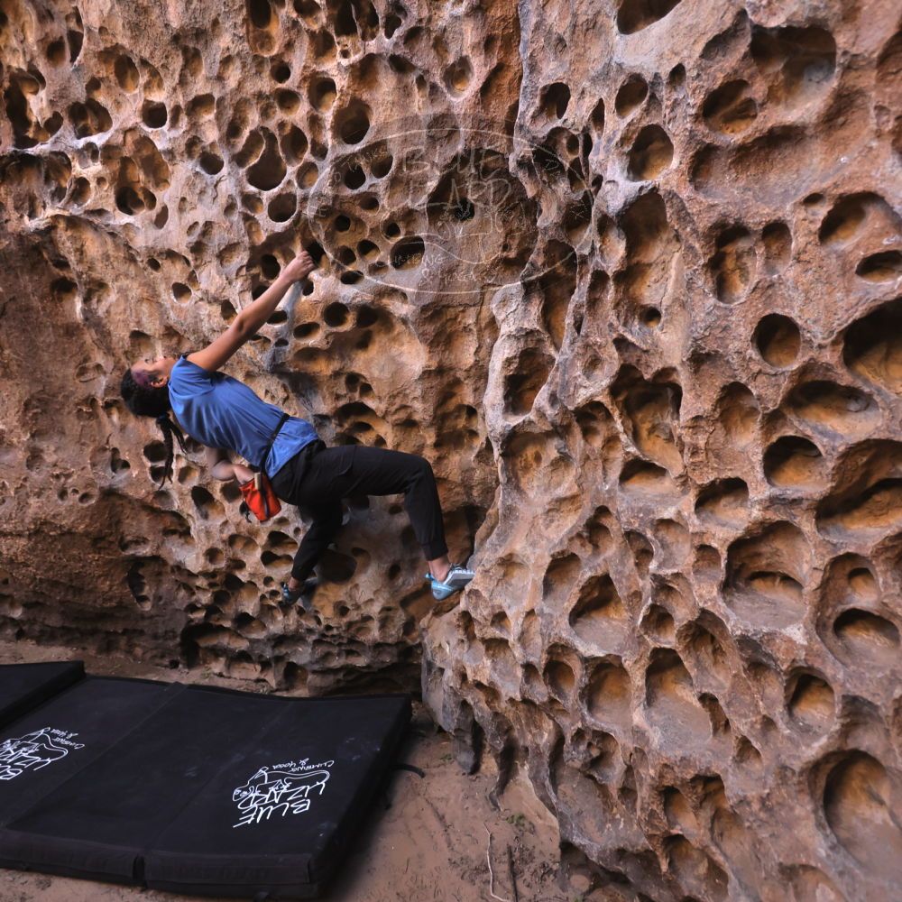 

Filename: SRM_20250316_1407370.jpg
Aperture: f/4.0
Shutter Speed: 1/125
Body: Canon EOS R6
Lens: Canon EF 16-35mm f/2.8 L