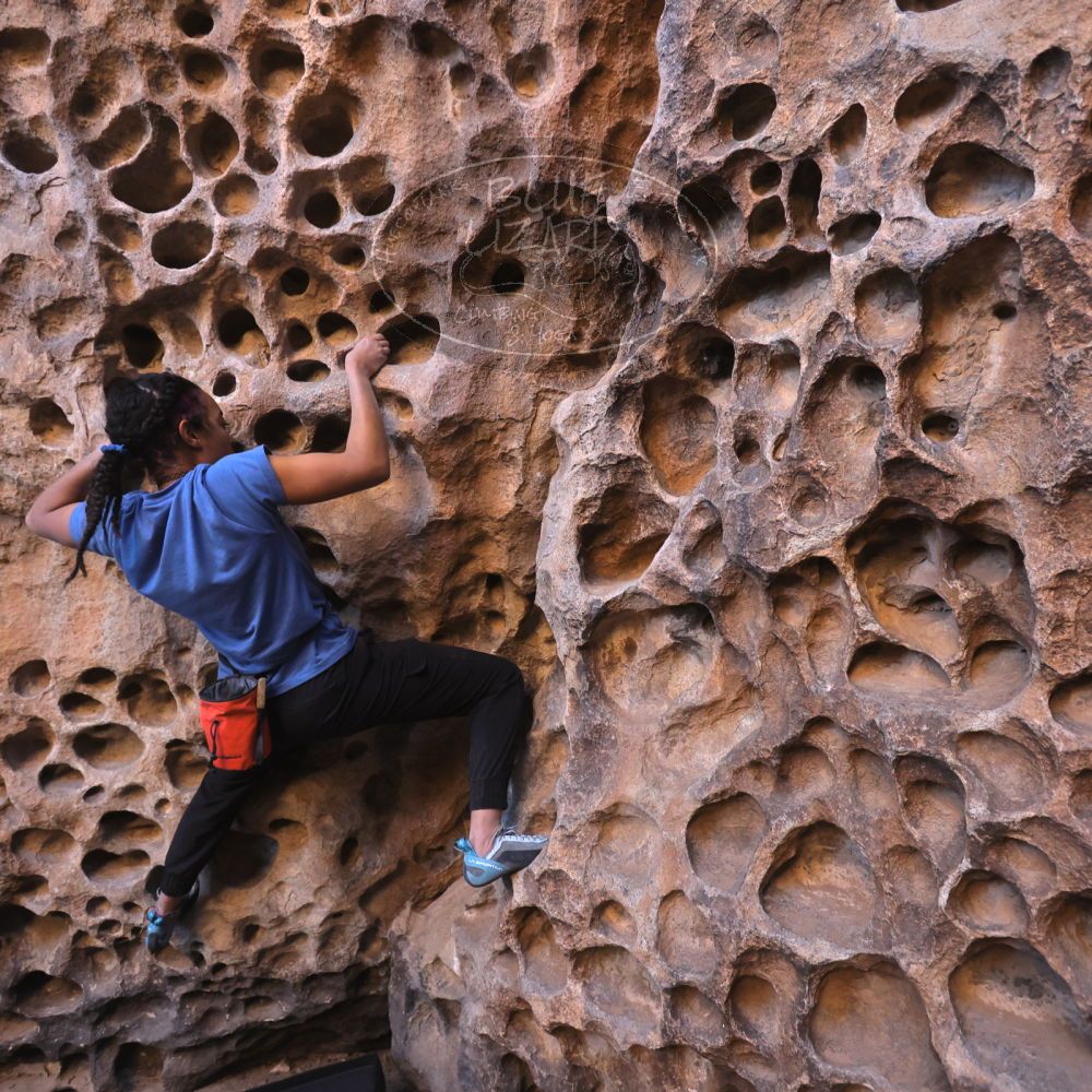 

Filename: SRM_20250316_1407420.jpg
Aperture: f/4.0
Shutter Speed: 1/125
Body: Canon EOS R6
Lens: Canon EF 16-35mm f/2.8 L