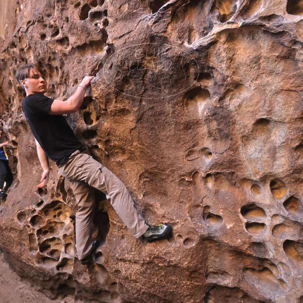 

Filename: SRM_20250316_1408080.jpg
Aperture: f/4.0
Shutter Speed: 1/125
Body: Canon EOS R6
Lens: Canon EF 16-35mm f/2.8 L