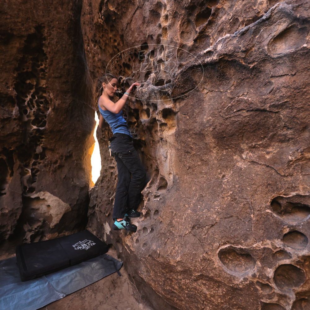 

Filename: SRM_20250316_1408140.jpg
Aperture: f/4.0
Shutter Speed: 1/125
Body: Canon EOS R6
Lens: Canon EF 16-35mm f/2.8 L