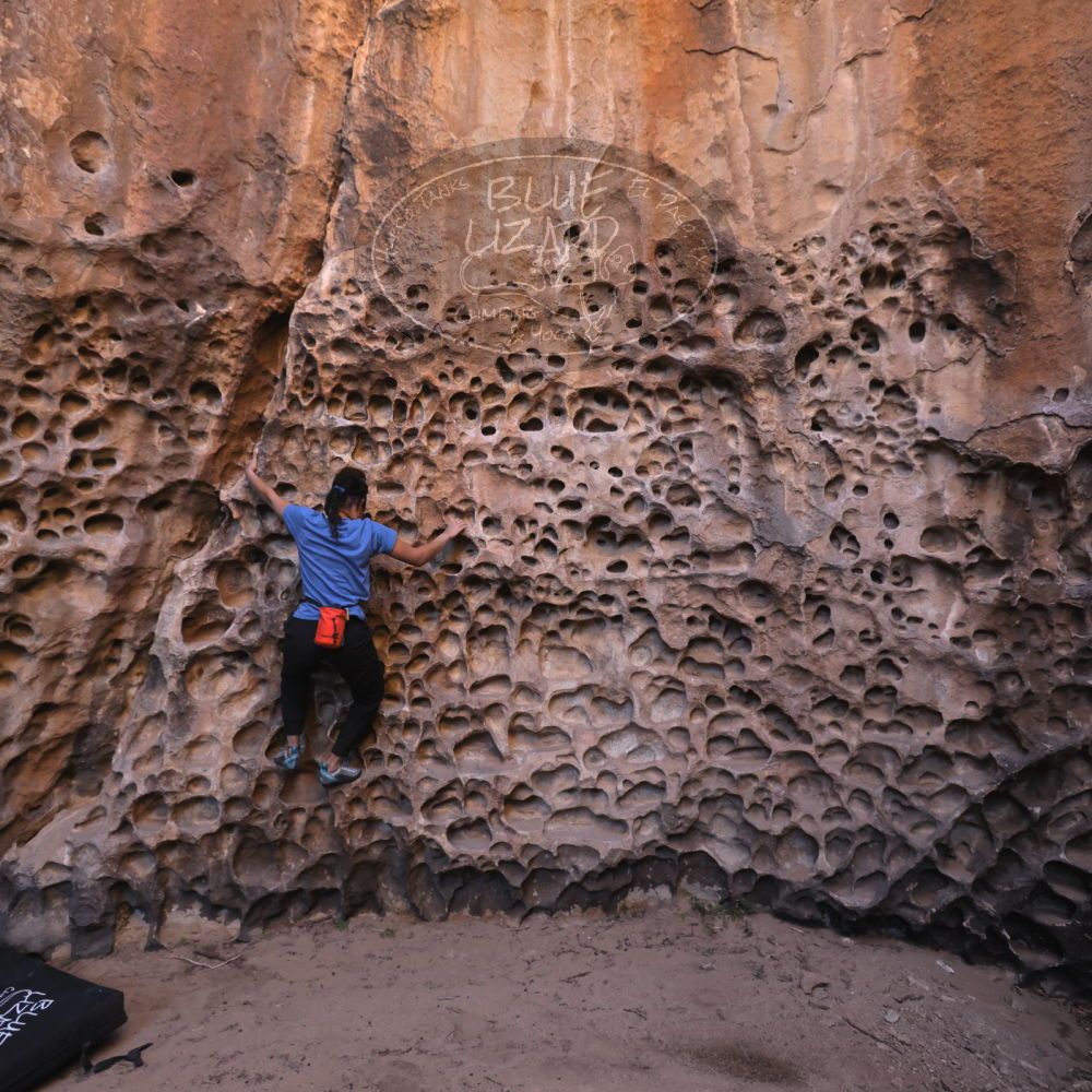 

Filename: SRM_20250316_1408350.jpg
Aperture: f/4.0
Shutter Speed: 1/125
Body: Canon EOS R6
Lens: Canon EF 16-35mm f/2.8 L