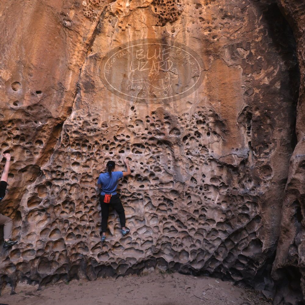 

Filename: SRM_20250316_1409020.jpg
Aperture: f/4.0
Shutter Speed: 1/125
Body: Canon EOS R6
Lens: Canon EF 16-35mm f/2.8 L