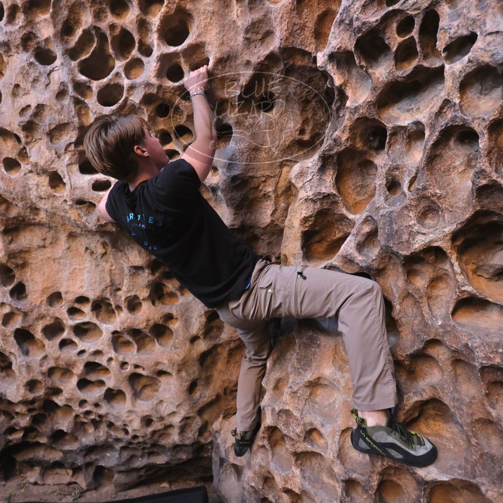 

Filename: SRM_20250316_1409100.jpg
Aperture: f/4.0
Shutter Speed: 1/125
Body: Canon EOS R6
Lens: Canon EF 16-35mm f/2.8 L