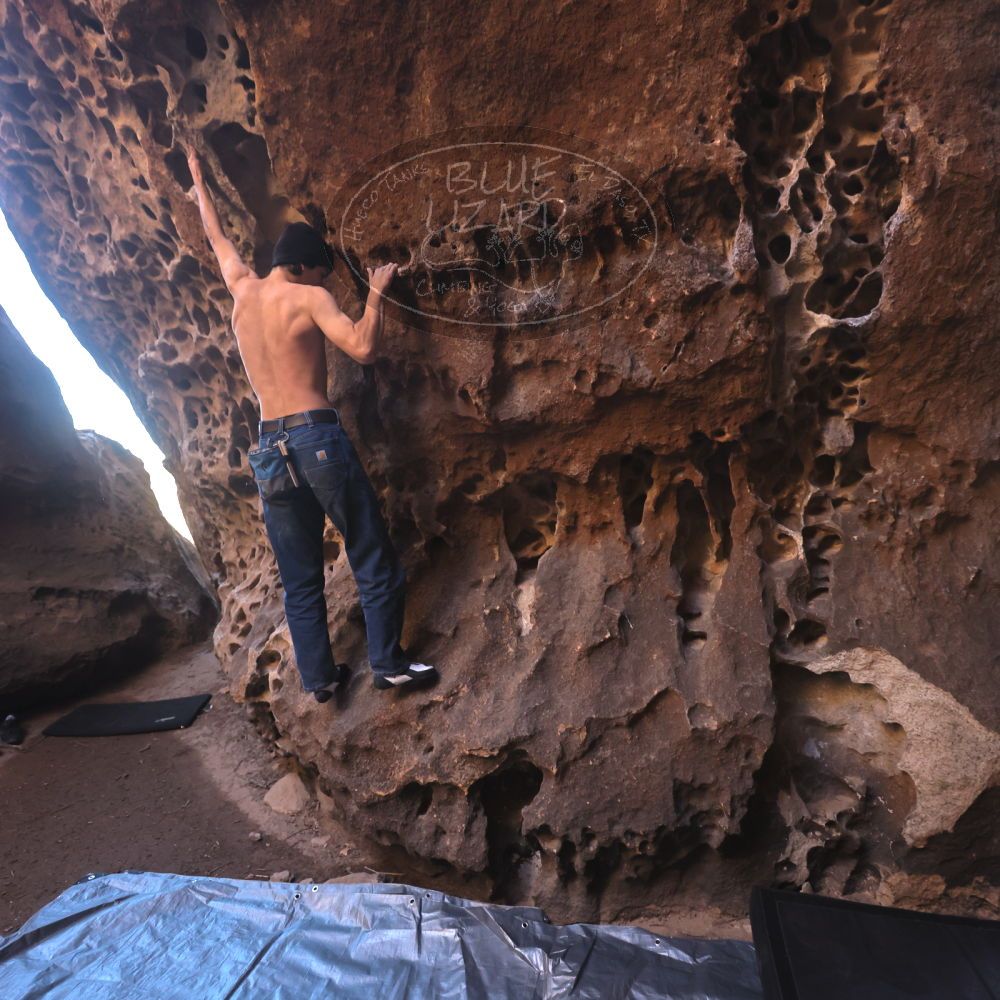 

Filename: SRM_20250316_1409510.jpg
Aperture: f/4.0
Shutter Speed: 1/125
Body: Canon EOS R6
Lens: Canon EF 16-35mm f/2.8 L