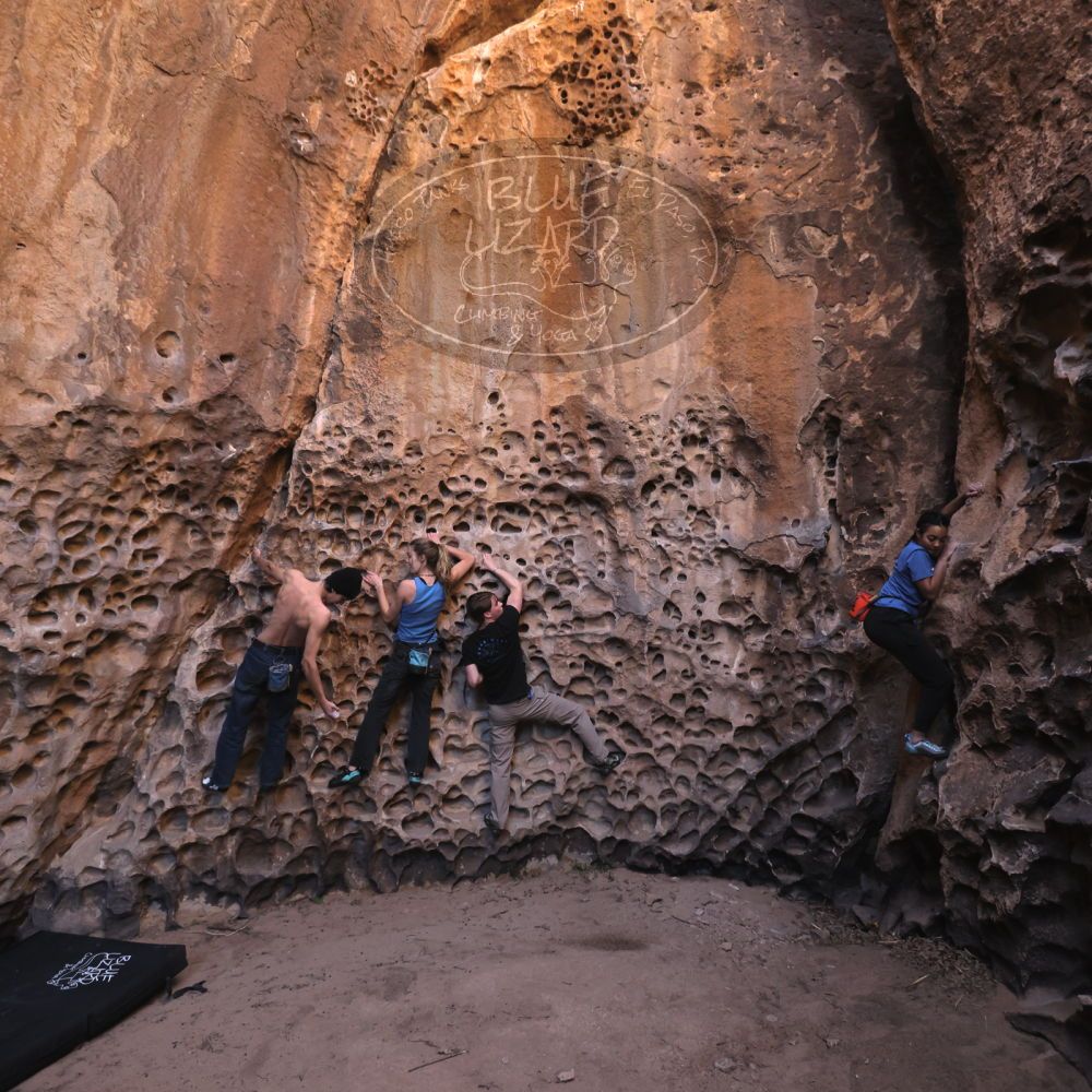 

Filename: SRM_20250316_1411560.jpg
Aperture: f/4.0
Shutter Speed: 1/200
Body: Canon EOS R6
Lens: Canon EF 16-35mm f/2.8 L