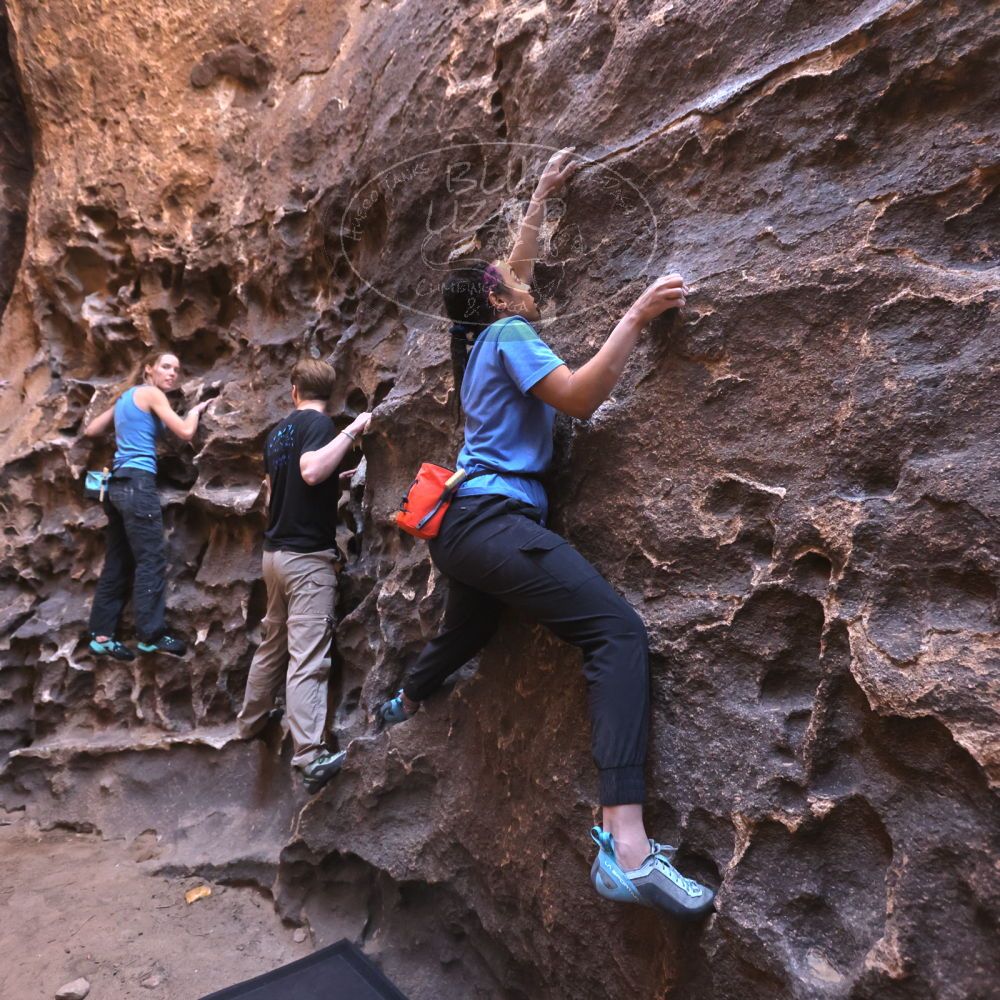 

Filename: SRM_20250316_1414500.jpg
Aperture: f/4.0
Shutter Speed: 1/200
Body: Canon EOS R6
Lens: Canon EF 16-35mm f/2.8 L