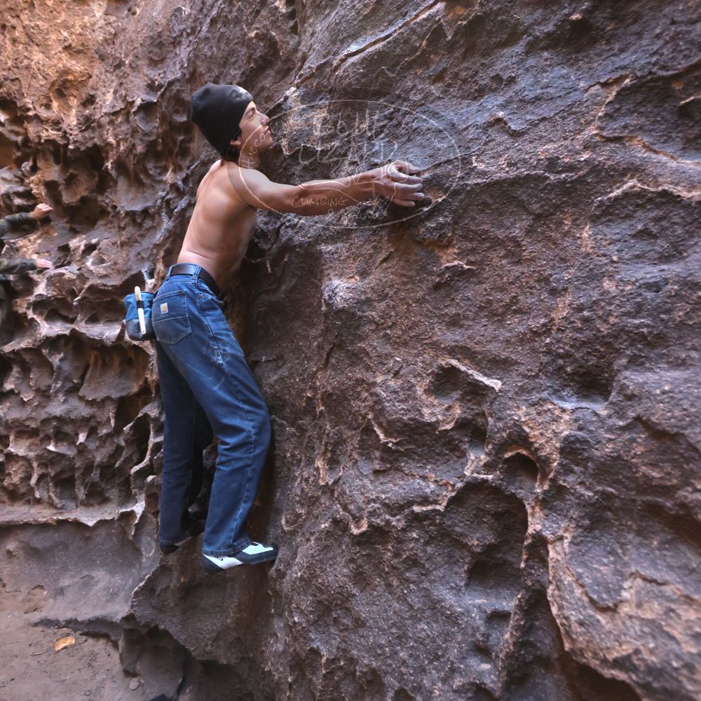 

Filename: SRM_20250316_1417270.jpg
Aperture: f/4.0
Shutter Speed: 1/200
Body: Canon EOS R6
Lens: Canon EF 16-35mm f/2.8 L