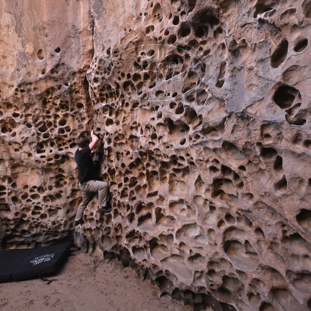 

Filename: SRM_20250316_1419230.jpg
Aperture: f/4.0
Shutter Speed: 1/200
Body: Canon EOS R6
Lens: Canon EF 16-35mm f/2.8 L