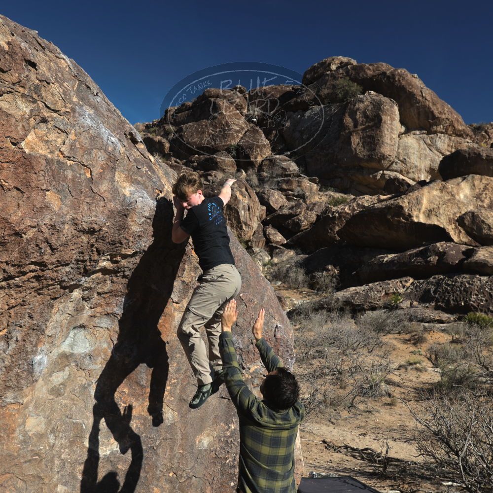 

Filename: SRM_20250316_1550351.jpg
Aperture: f/5.6
Shutter Speed: 1/800
Body: Canon EOS R6
Lens: Canon EF 16-35mm f/2.8 L