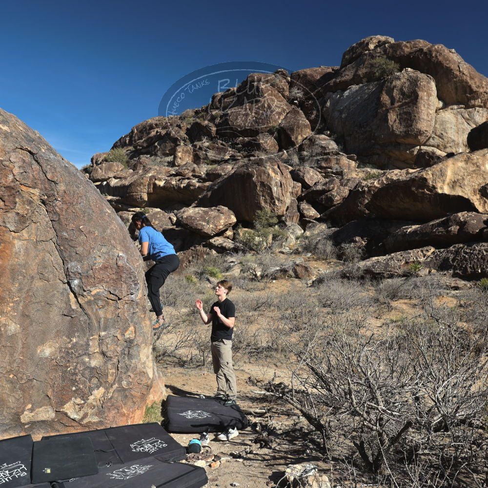 

Filename: SRM_20250316_1551500.jpg
Aperture: f/5.6
Shutter Speed: 1/800
Body: Canon EOS R6
Lens: Canon EF 16-35mm f/2.8 L