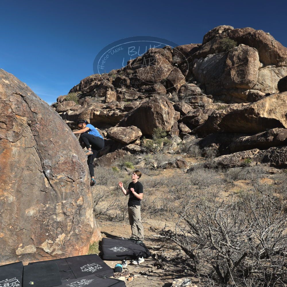 

Filename: SRM_20250316_1551580.jpg
Aperture: f/5.6
Shutter Speed: 1/800
Body: Canon EOS R6
Lens: Canon EF 16-35mm f/2.8 L