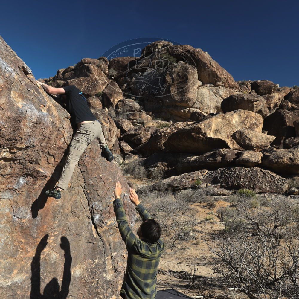 

Filename: SRM_20250316_1559270.jpg
Aperture: f/5.6
Shutter Speed: 1/800
Body: Canon EOS R6
Lens: Canon EF 16-35mm f/2.8 L