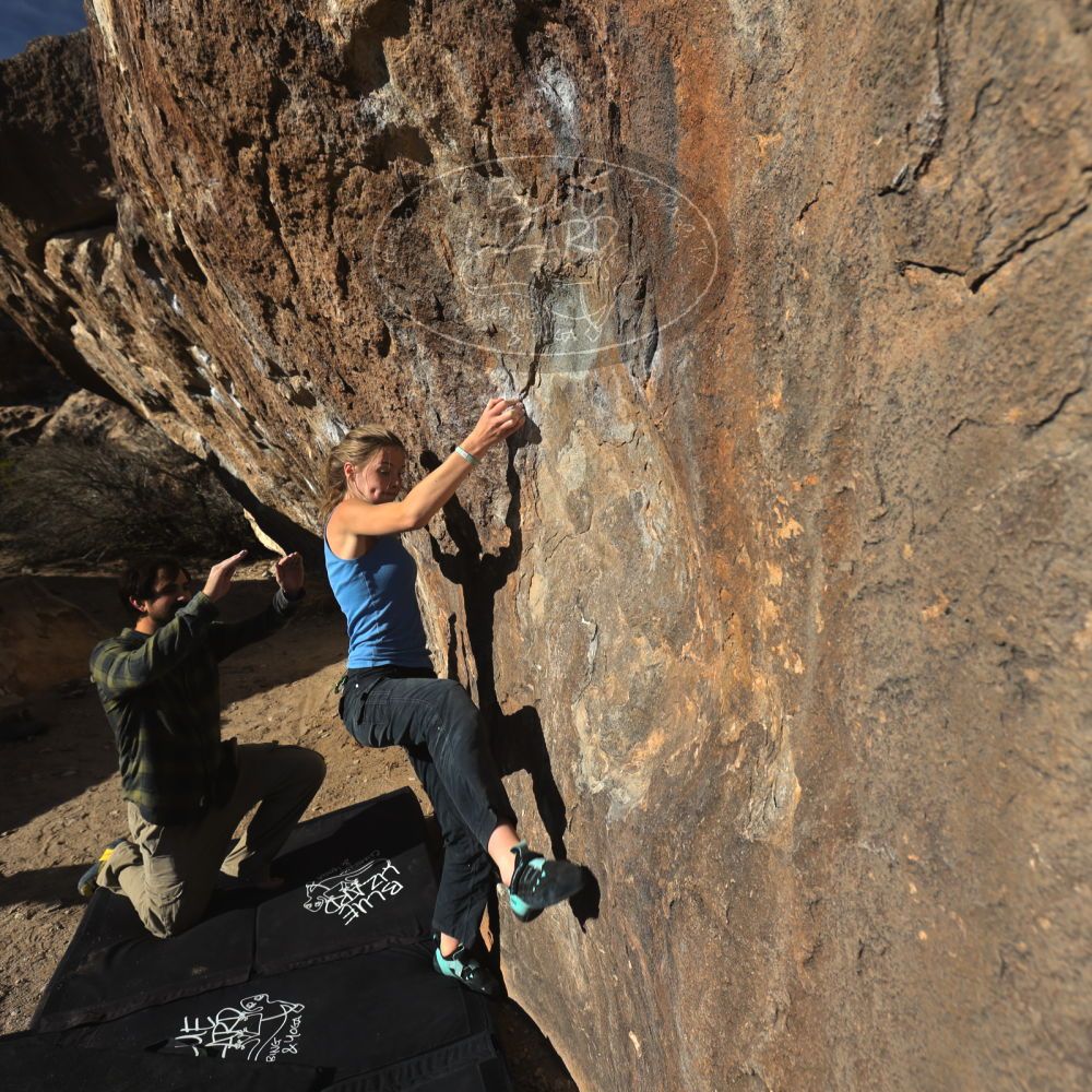 

Filename: SRM_20250316_1617560.jpg
Aperture: f/5.6
Shutter Speed: 1/500
Body: Canon EOS R6
Lens: Canon EF 16-35mm f/2.8 L