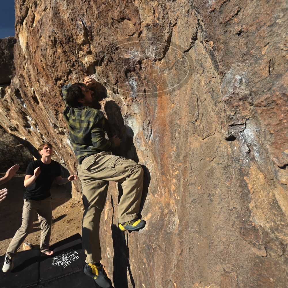 

Filename: SRM_20250316_1632580.jpg
Aperture: f/5.6
Shutter Speed: 1/500
Body: Canon EOS R6
Lens: Canon EF 16-35mm f/2.8 L