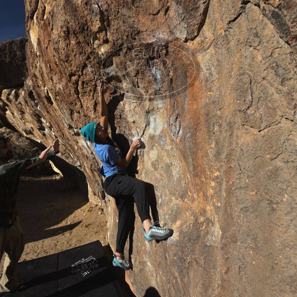 

Filename: SRM_20250316_1633490.jpg
Aperture: f/5.6
Shutter Speed: 1/500
Body: Canon EOS R6
Lens: Canon EF 16-35mm f/2.8 L