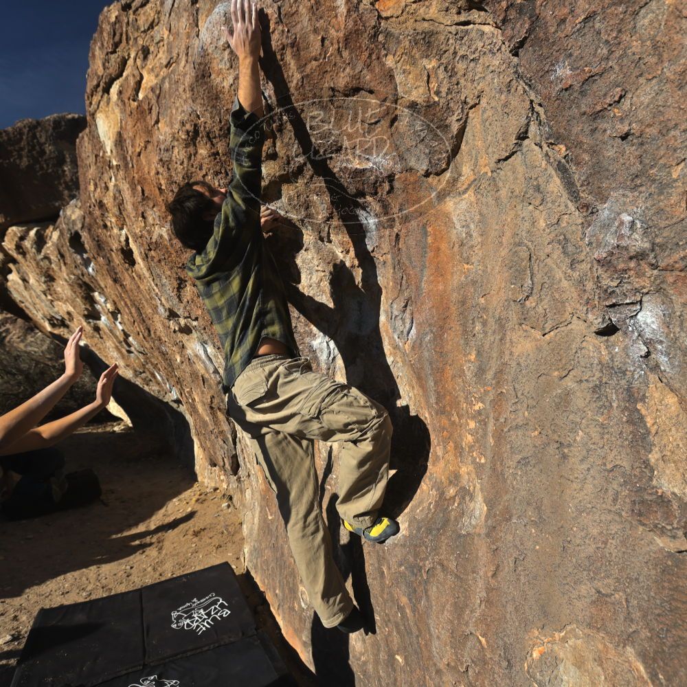 

Filename: SRM_20250316_1635010.jpg
Aperture: f/5.6
Shutter Speed: 1/640
Body: Canon EOS R6
Lens: Canon EF 16-35mm f/2.8 L