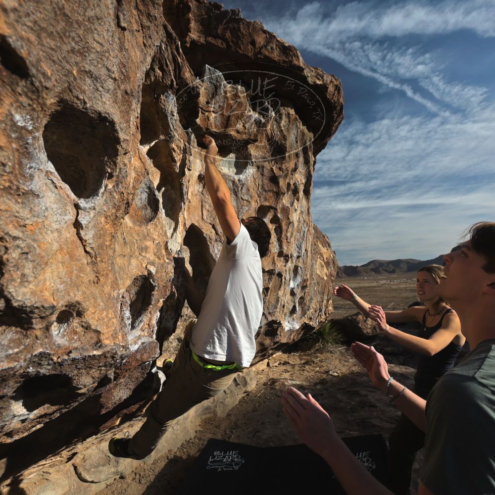 

Filename: SRM_20250317_0809310.jpg
Aperture: f/5.6
Shutter Speed: 1/500
Body: Canon EOS R6
Lens: Canon EF 16-35mm f/2.8 L