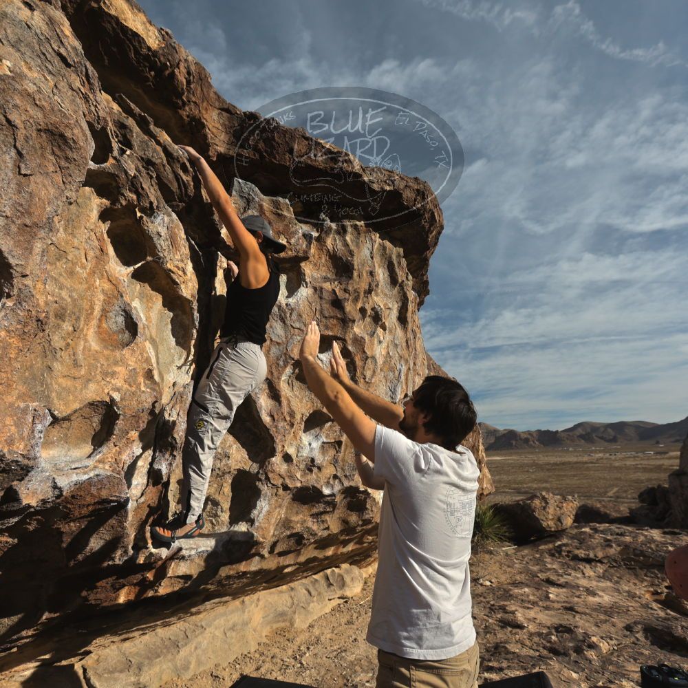 

Filename: SRM_20250317_0818530.jpg
Aperture: f/5.6
Shutter Speed: 1/640
Body: Canon EOS R6
Lens: Canon EF 16-35mm f/2.8 L