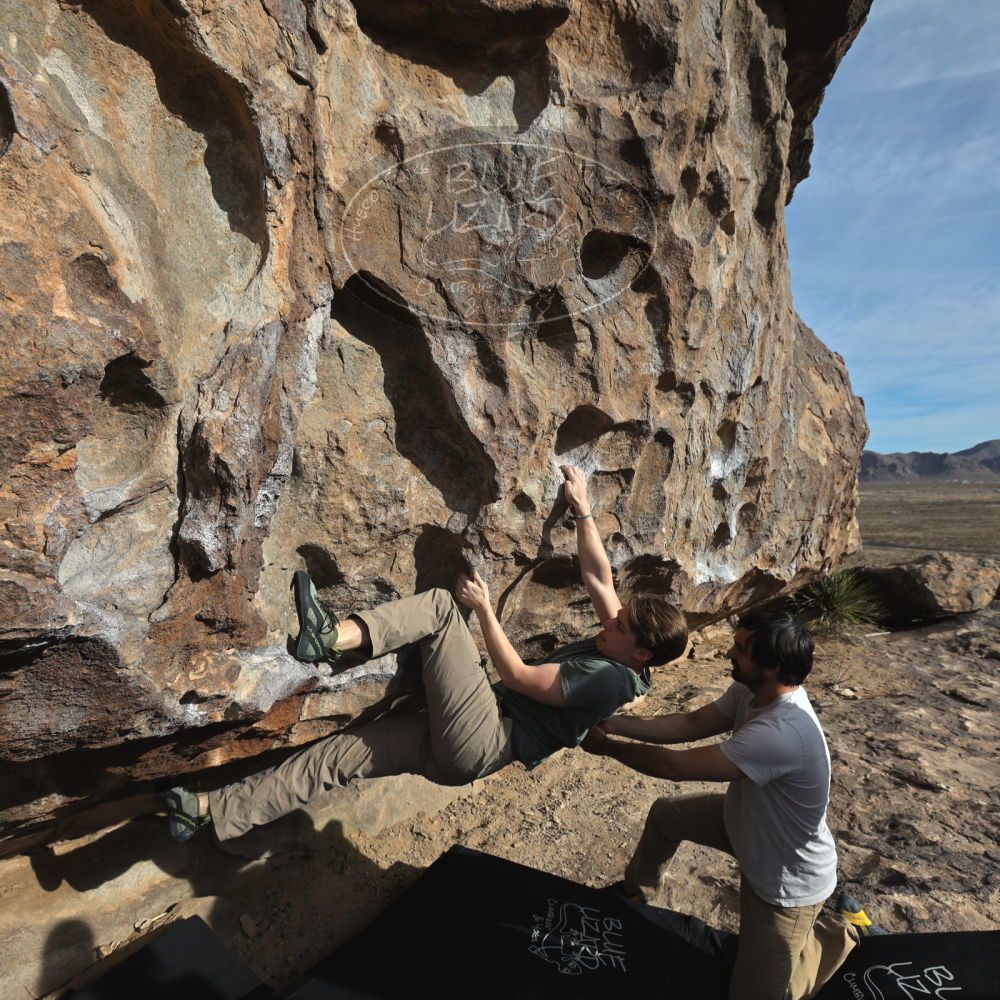 

Filename: SRM_20250317_0828230.jpg
Aperture: f/5.6
Shutter Speed: 1/500
Body: Canon EOS R6
Lens: Canon EF 16-35mm f/2.8 L