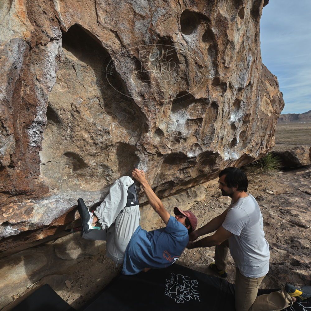 

Filename: SRM_20250317_0834500.jpg
Aperture: f/5.6
Shutter Speed: 1/500
Body: Canon EOS R6
Lens: Canon EF 16-35mm f/2.8 L