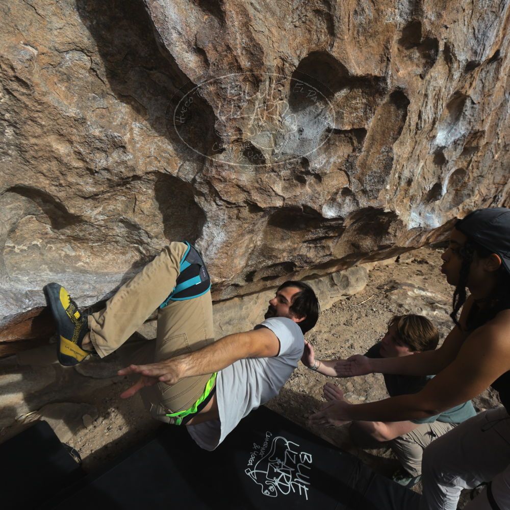 

Filename: SRM_20250317_0836250.jpg
Aperture: f/5.6
Shutter Speed: 1/500
Body: Canon EOS R6
Lens: Canon EF 16-35mm f/2.8 L