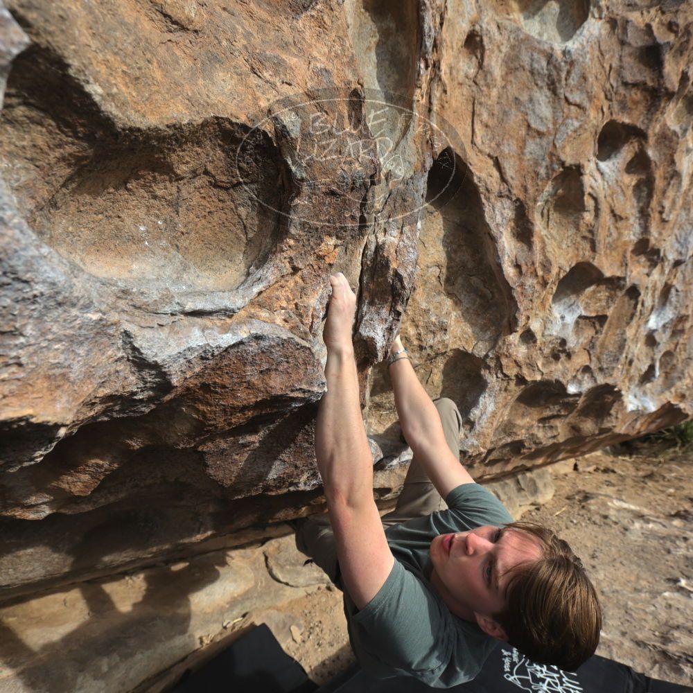 

Filename: SRM_20250317_0837480.jpg
Aperture: f/5.6
Shutter Speed: 1/500
Body: Canon EOS R6
Lens: Canon EF 16-35mm f/2.8 L