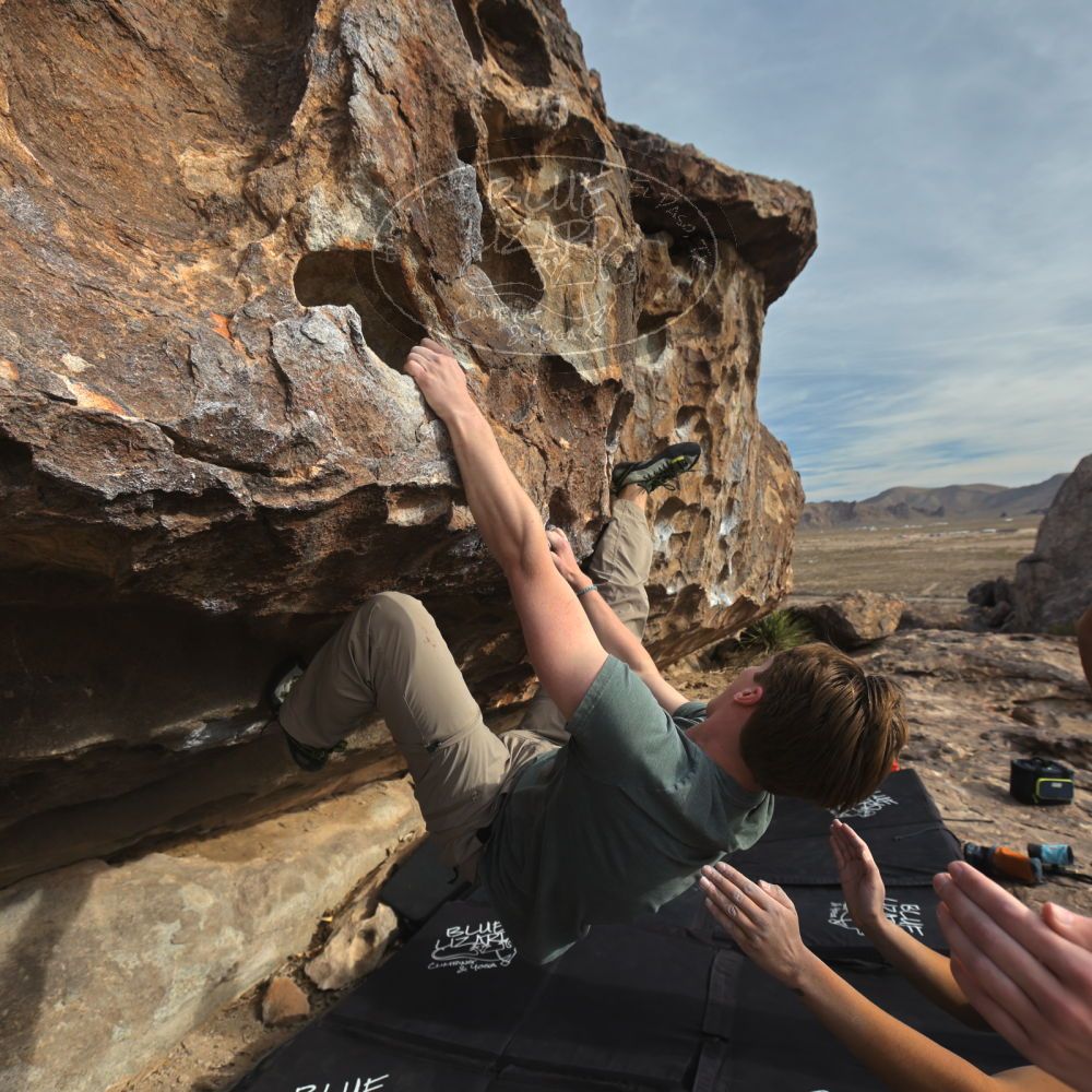 

Filename: SRM_20250317_0838240.jpg
Aperture: f/5.6
Shutter Speed: 1/500
Body: Canon EOS R6
Lens: Canon EF 16-35mm f/2.8 L