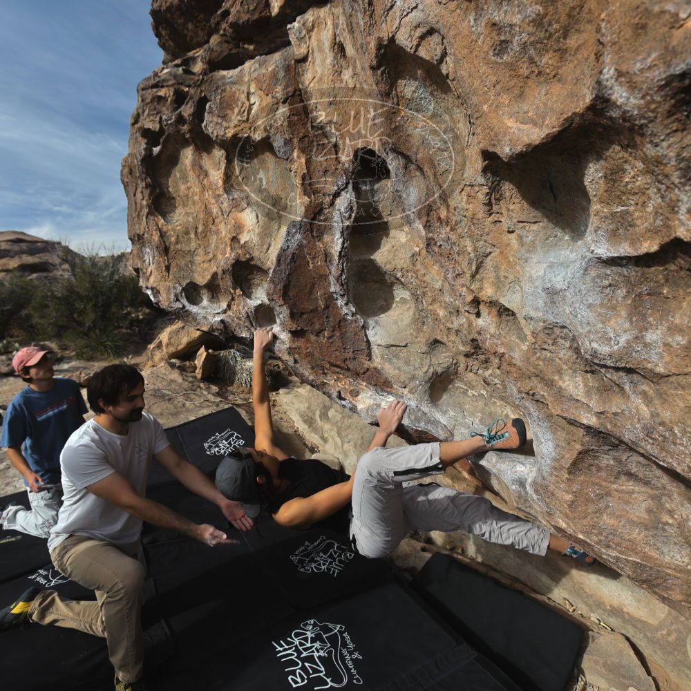 

Filename: SRM_20250317_0839170.jpg
Aperture: f/5.6
Shutter Speed: 1/500
Body: Canon EOS R6
Lens: Canon EF 16-35mm f/2.8 L