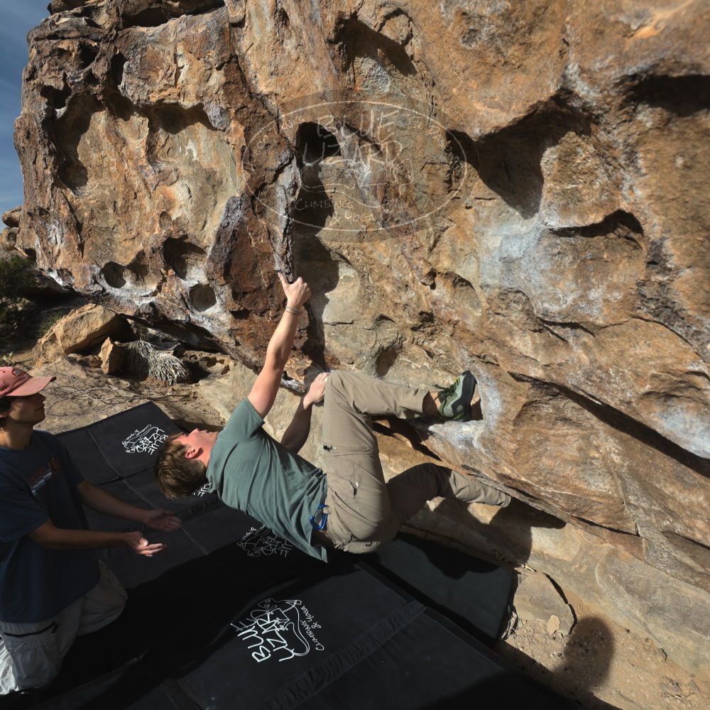 

Filename: SRM_20250317_0845480.jpg
Aperture: f/5.6
Shutter Speed: 1/500
Body: Canon EOS R6
Lens: Canon EF 16-35mm f/2.8 L