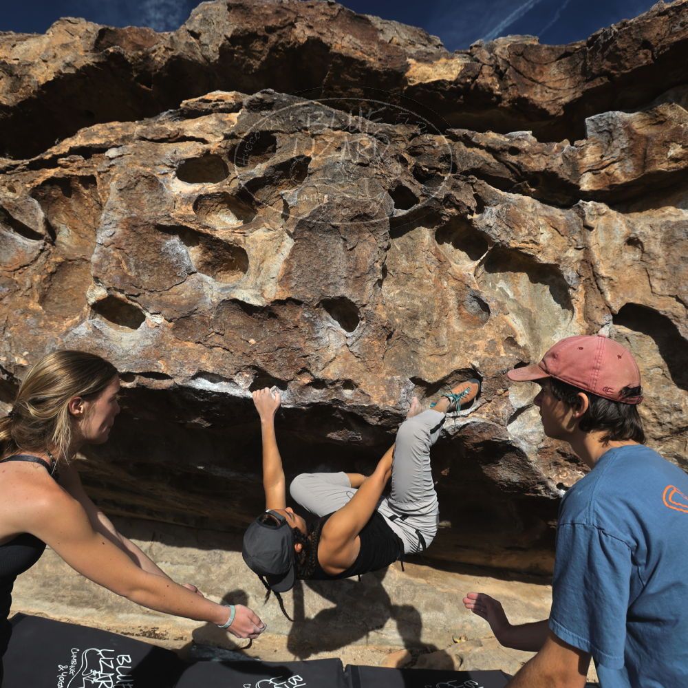 

Filename: SRM_20250317_0854530.jpg
Aperture: f/5.6
Shutter Speed: 1/500
Body: Canon EOS R6
Lens: Canon EF 16-35mm f/2.8 L