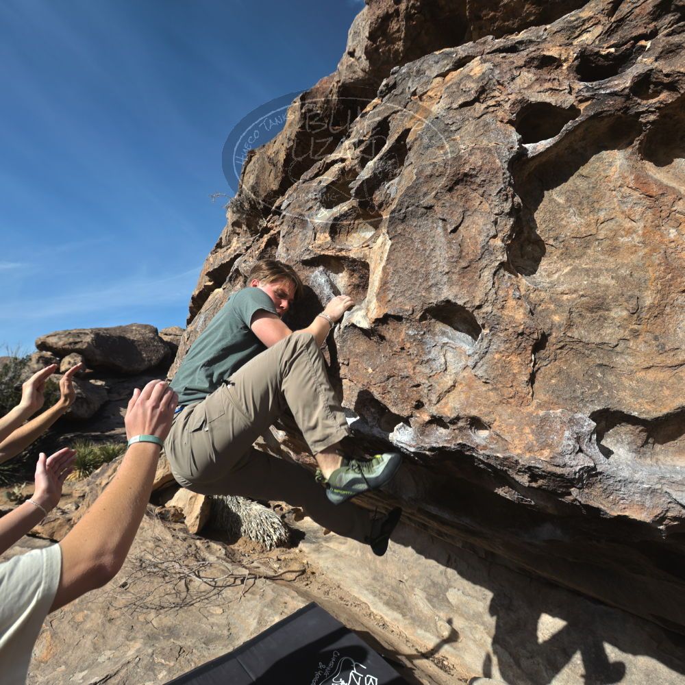 

Filename: SRM_20250317_0900120.jpg
Aperture: f/5.6
Shutter Speed: 1/500
Body: Canon EOS R6
Lens: Canon EF 16-35mm f/2.8 L