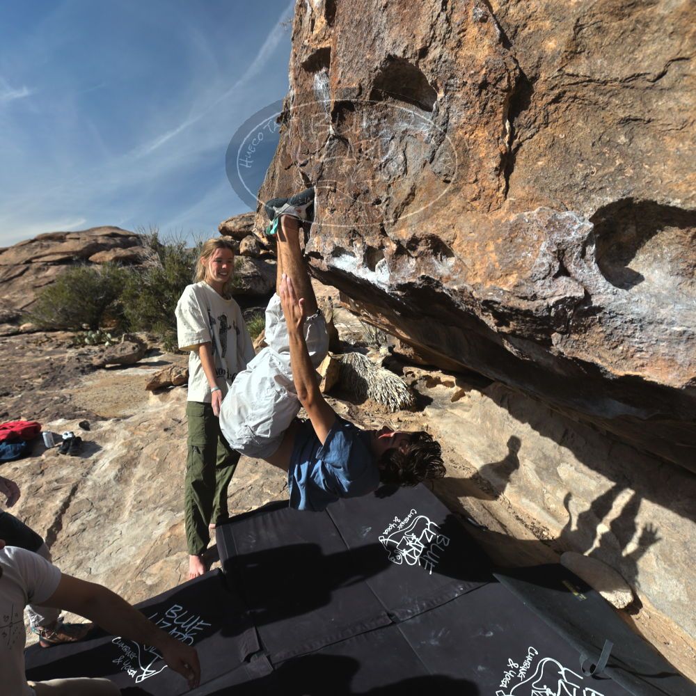 

Filename: SRM_20250317_0906120.jpg
Aperture: f/5.6
Shutter Speed: 1/500
Body: Canon EOS R6
Lens: Canon EF 16-35mm f/2.8 L