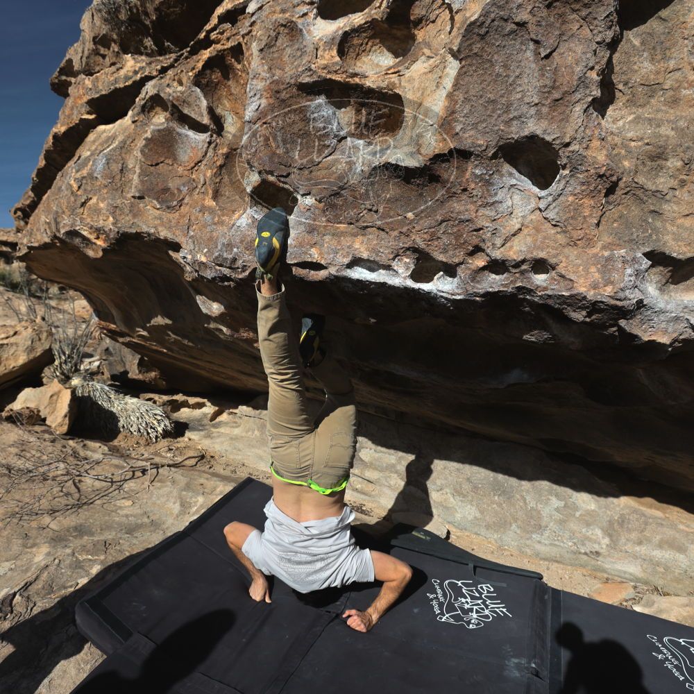 

Filename: SRM_20250317_0907330.jpg
Aperture: f/5.6
Shutter Speed: 1/500
Body: Canon EOS R6
Lens: Canon EF 16-35mm f/2.8 L