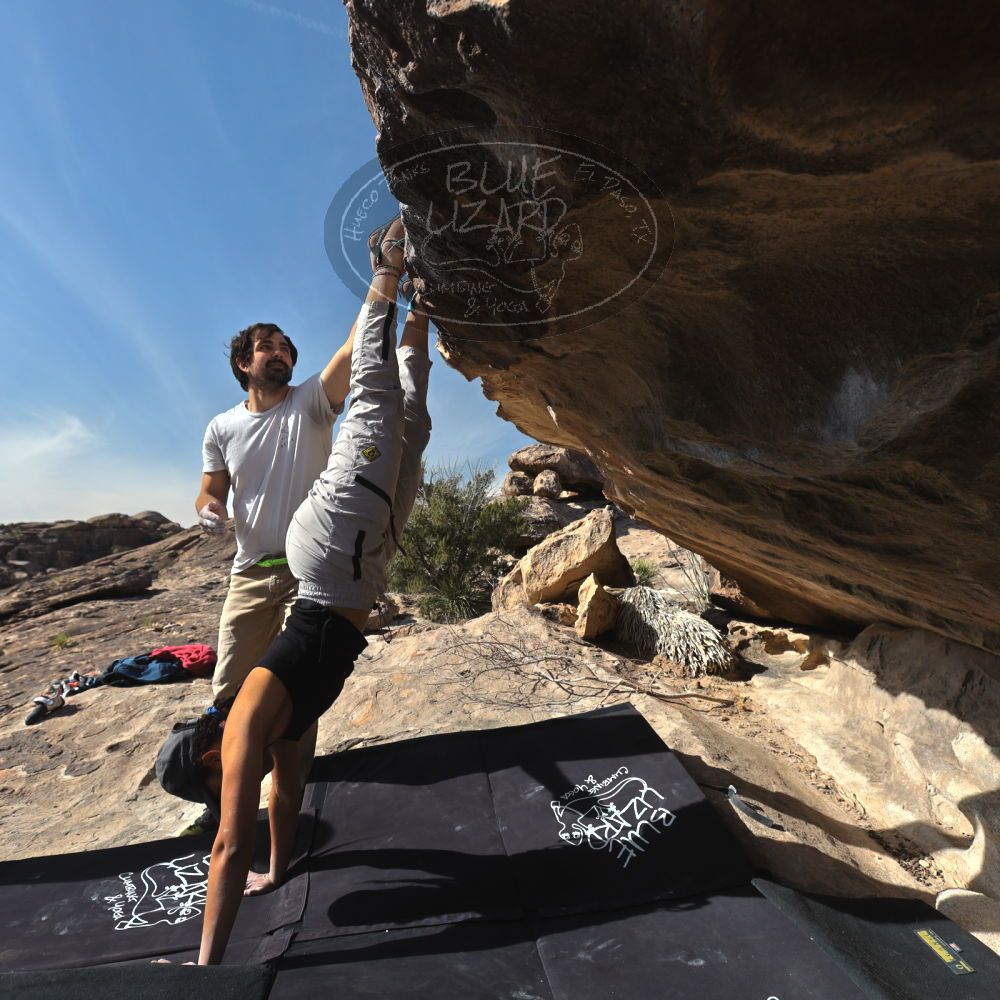 

Filename: SRM_20250317_0920130.jpg
Aperture: f/5.6
Shutter Speed: 1/500
Body: Canon EOS R6
Lens: Canon EF 16-35mm f/2.8 L