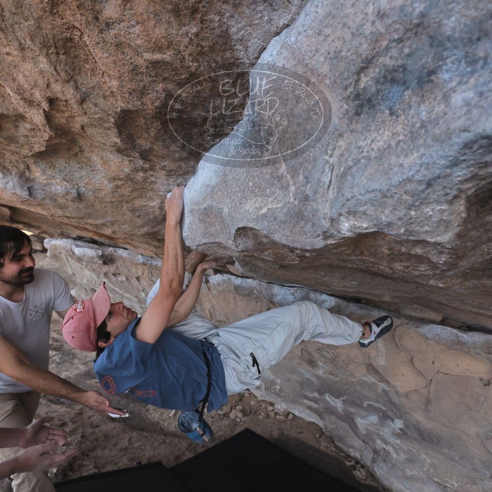 

Filename: SRM_20250317_0953370.jpg
Aperture: f/5.6
Shutter Speed: 1/500
Body: Canon EOS R6
Lens: Canon EF 16-35mm f/2.8 L