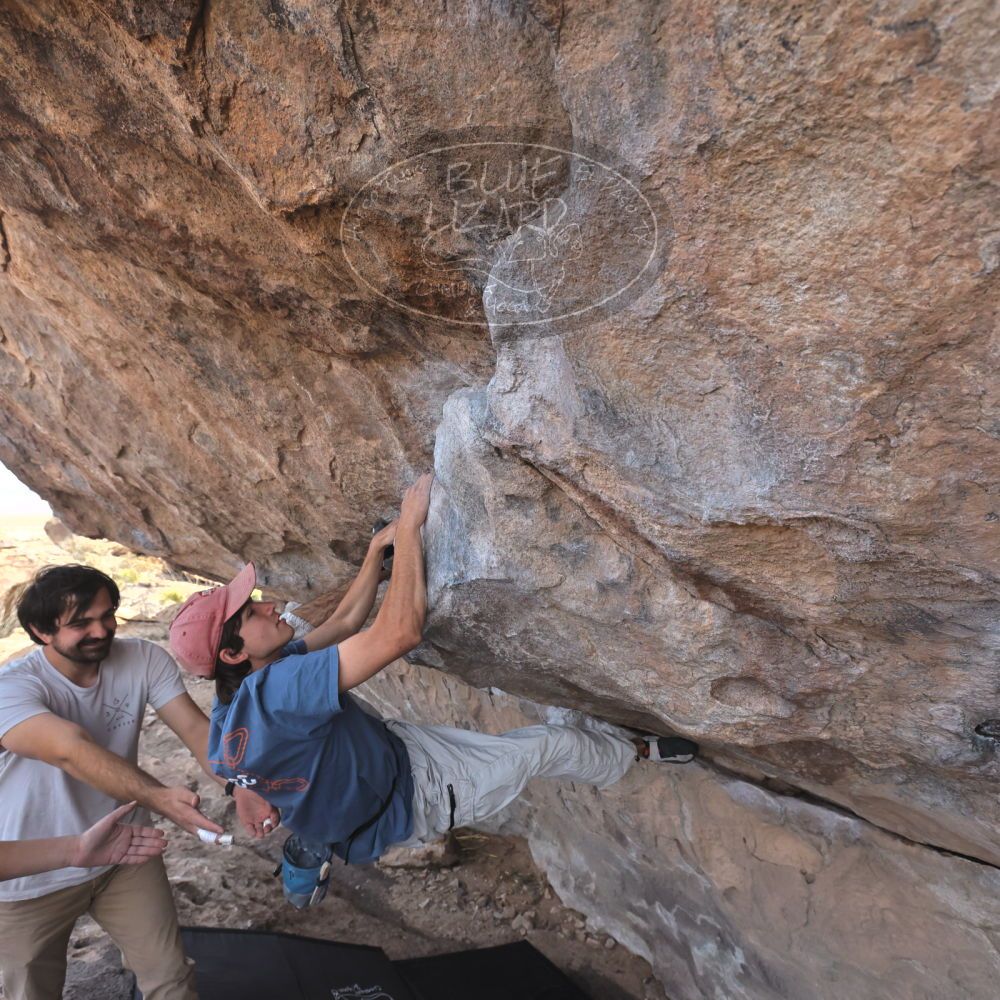 

Filename: SRM_20250317_0953450.jpg
Aperture: f/5.6
Shutter Speed: 1/500
Body: Canon EOS R6
Lens: Canon EF 16-35mm f/2.8 L