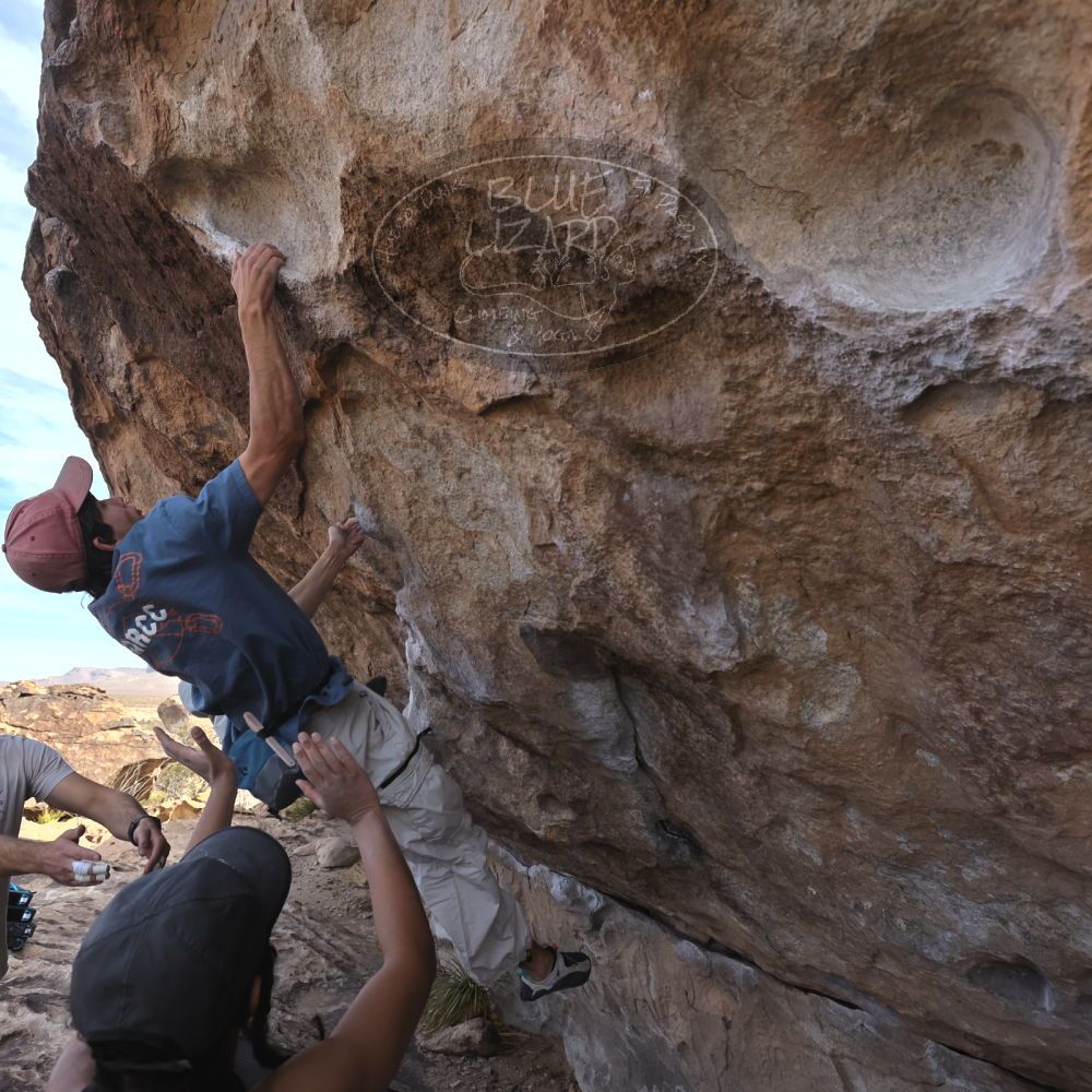 

Filename: SRM_20250317_0954130.jpg
Aperture: f/5.6
Shutter Speed: 1/500
Body: Canon EOS R6
Lens: Canon EF 16-35mm f/2.8 L